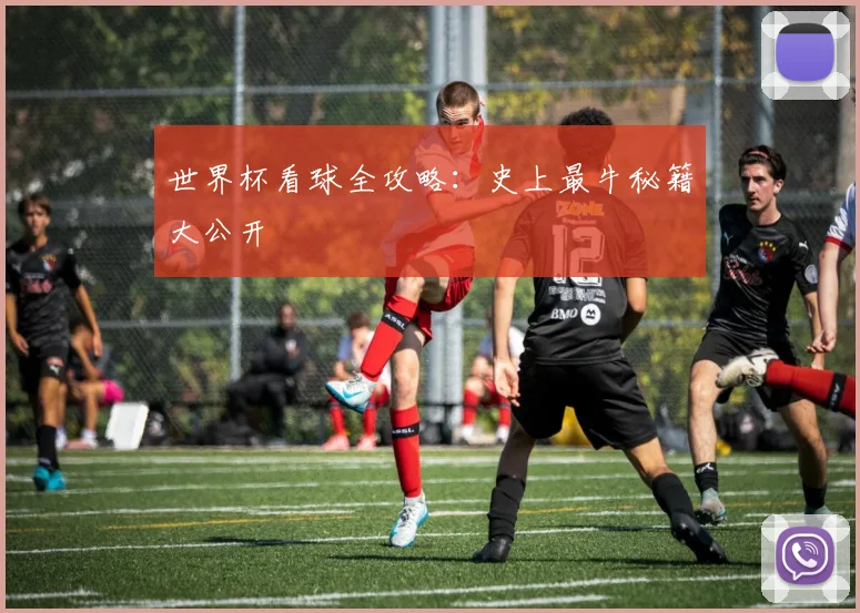世界杯看球全攻略:史上最牛秘籍大公开