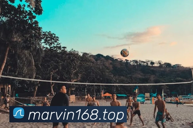 博亚体育app官网入口APP 封面图